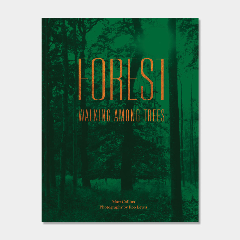 Forest - Walking Among Trees